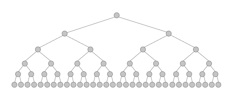 Binary long tree