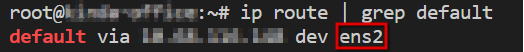 Grepping primary network adapter
